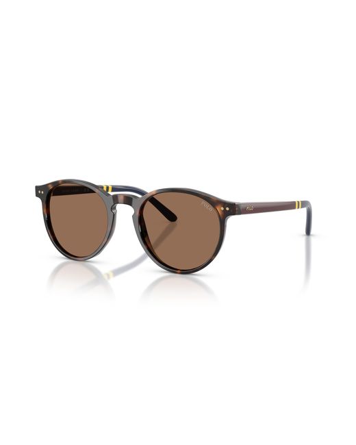 Polo Ralph Lauren Black Sunglass Ph4236 for men