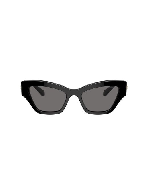 Swarovski Black Sunglass Sk6021