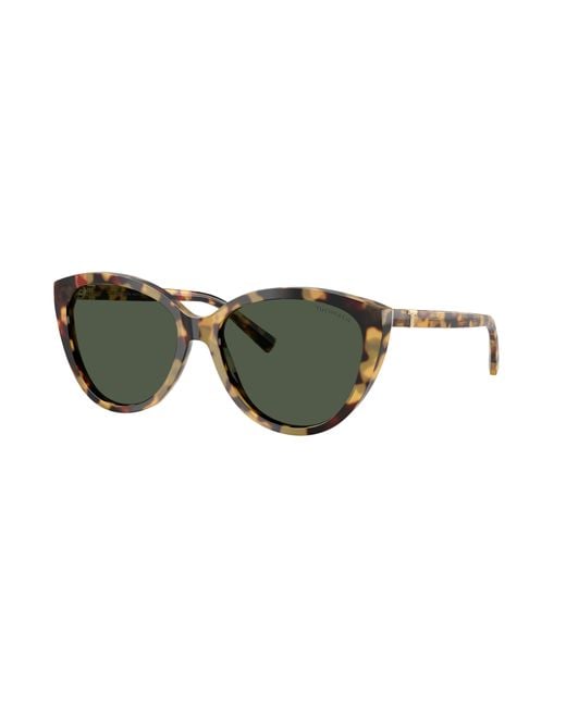 Tiffany & Co Black Sunglass Tf4251