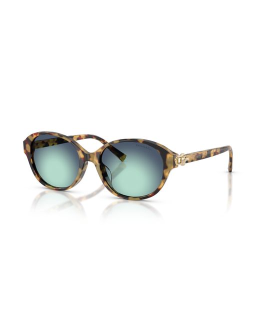 Tiffany & Co Black Sunglass Tf4263d