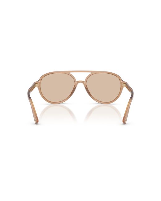 Jimmy Choo Black Sunglass Jc5055u