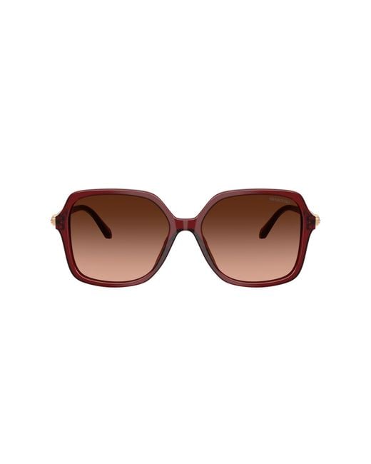 Swarovski Black Sunglass Sk6067