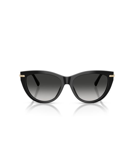Tiffany & Co Black Sunglass Tf4253