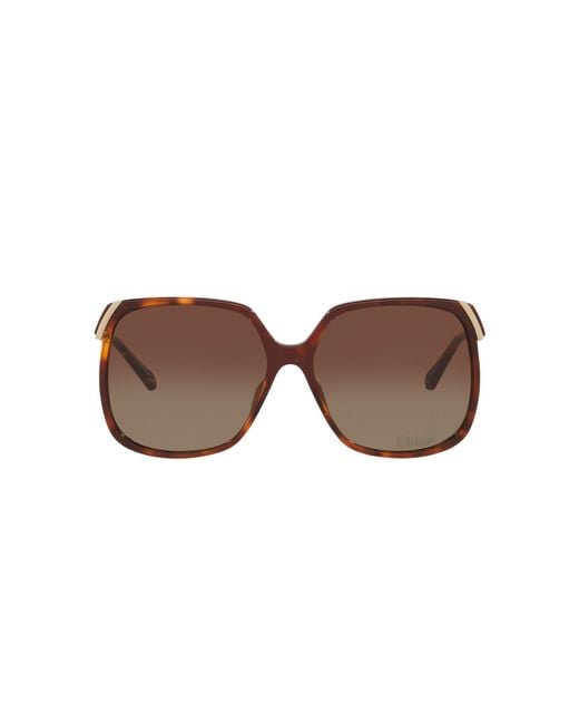 Chloé Black Sunglass Ch0286s