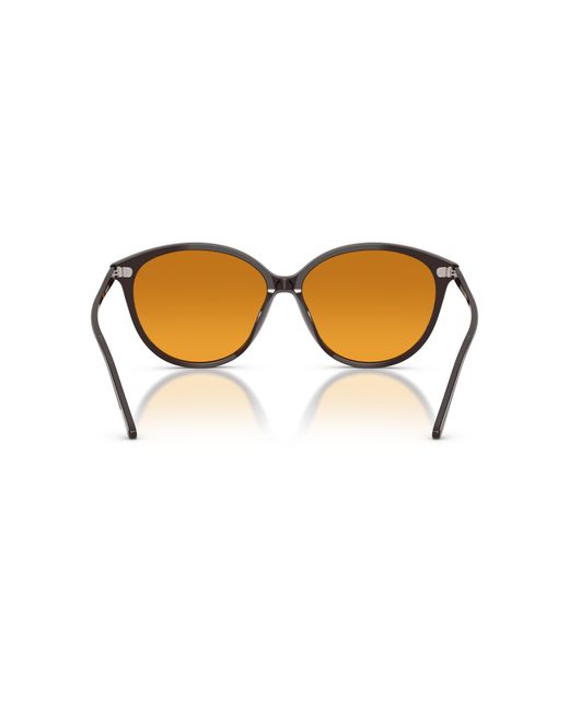 Oliver Peoples Black Sunglass Ov5605su Soleau