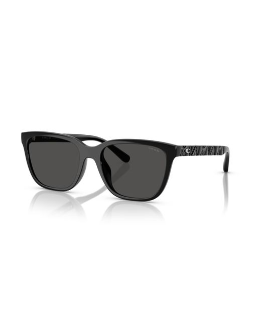 COACH Black Sunglass Cae86