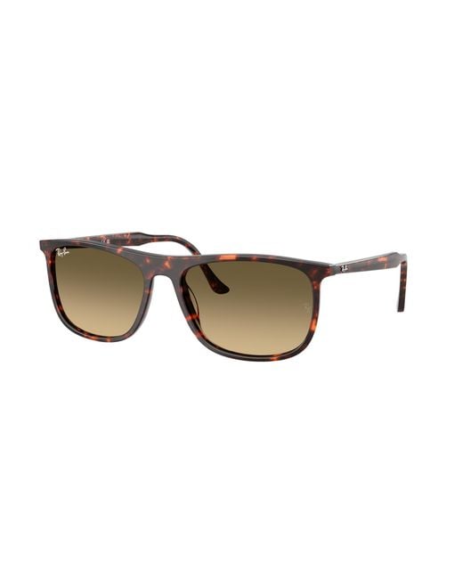 Ray-Ban Black Ray