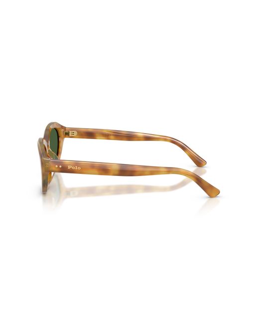 Polo Ralph Lauren Black Sunglass Ph4237u