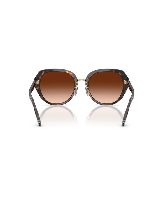 COACH Black Sunglass Cby93