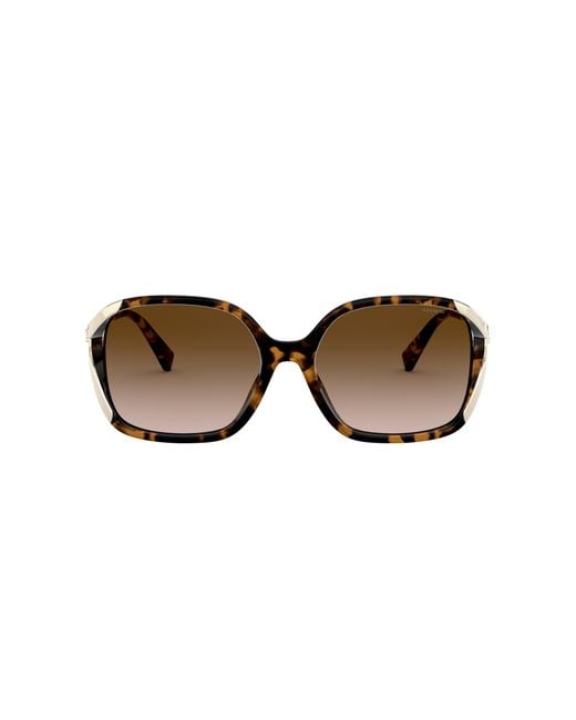 COACH Black Sunglass L1116