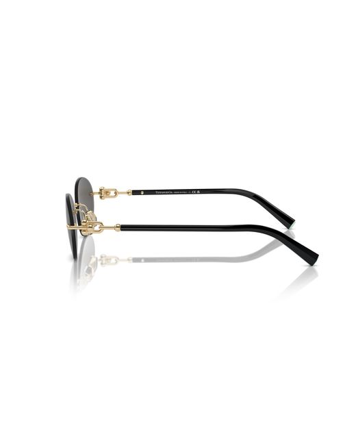 Tiffany & Co Black Sunglasses Tf3104D