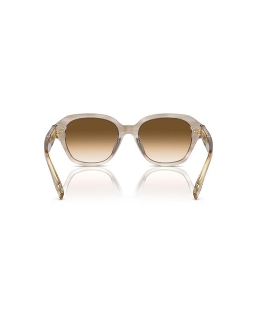 Brunello Cucinelli Black Sunglass Bc4004s