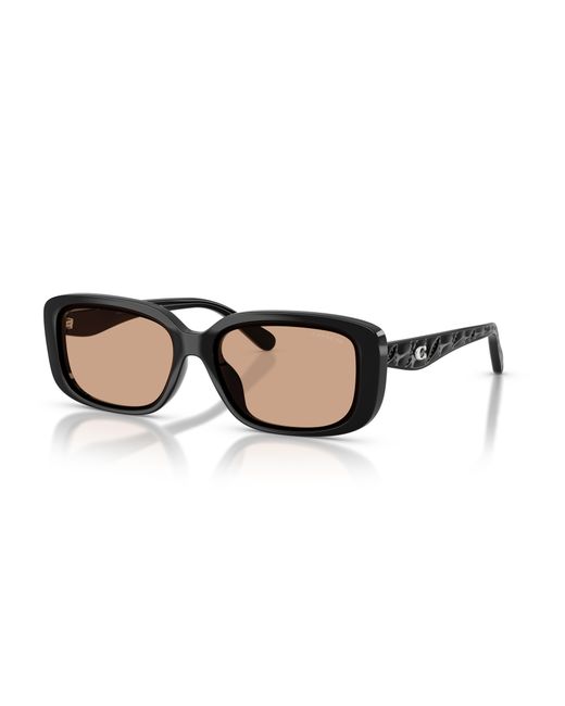 COACH Black Sunglass Cby86