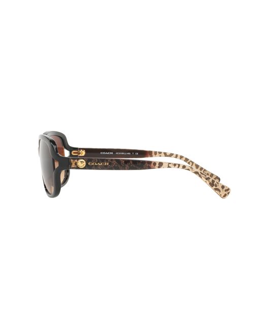 COACH Black Hc8169 Sunglasses