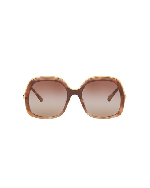 Chloé Black Sunglass Ch0327s