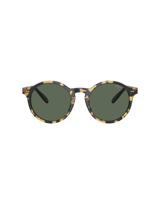 Polo Ralph Lauren Green Sunglass Ph4204u for men