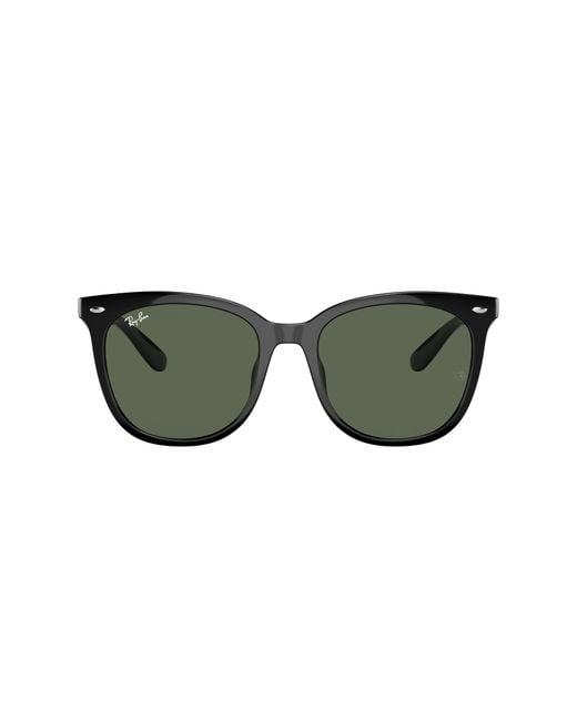Ray-Ban Black Sunglass Rb4379d