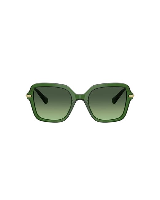 Swarovski Green Sunglass Sk6040