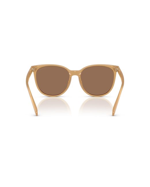 COACH Black Sunglass Cw428