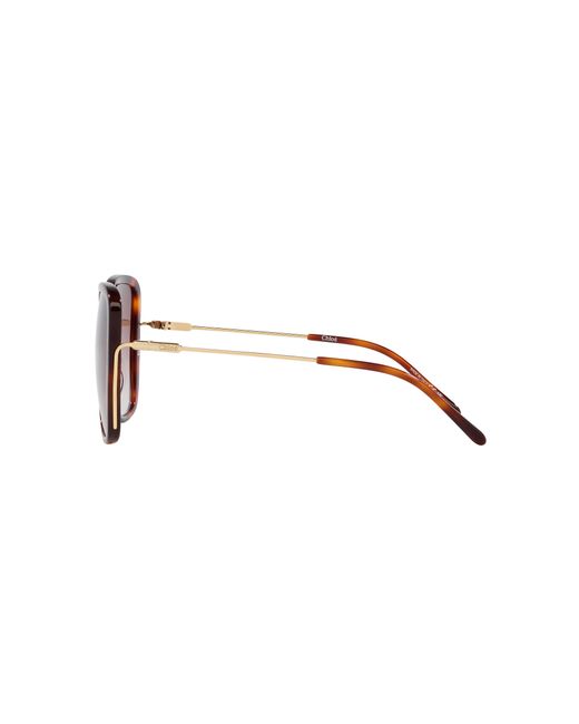 Chloé Black Sunglass Ch0173s