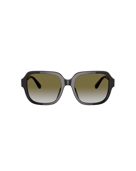 COACH Black Hc8335u Universal Fit Sunglasses