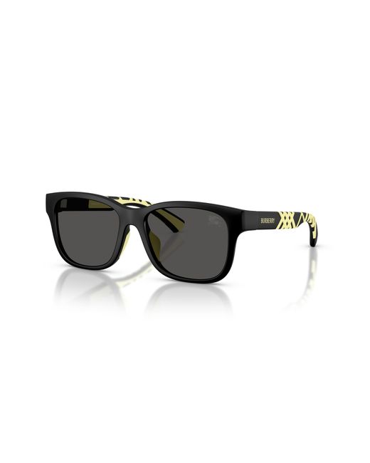 Burberry Black Sunglass Jb4007u