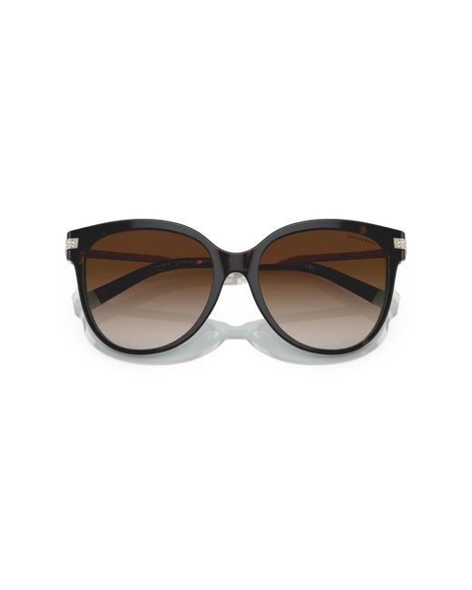 Tiffany & Co Black Sunglass Tf4193b