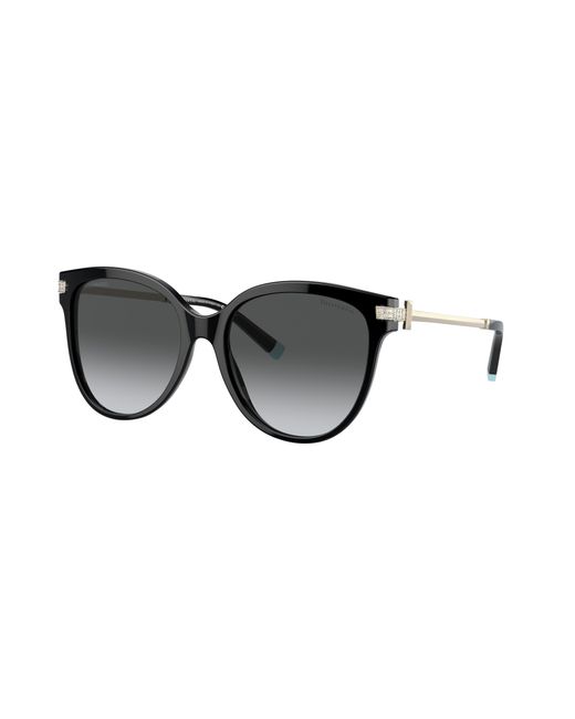 Tiffany & Co Black Sunglasses Tf4193b