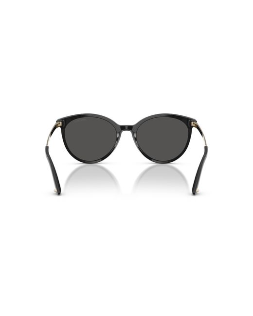 Jimmy Choo Black Sunglass Jc5060