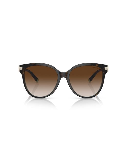 Tiffany & Co Black Sunglass Tf4193b