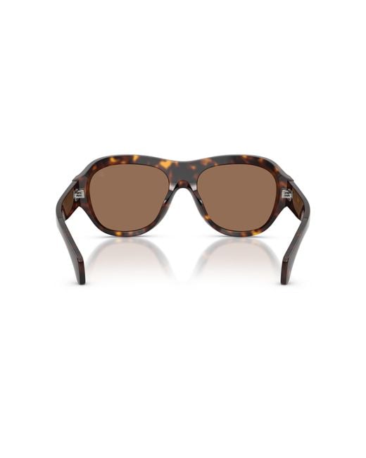 Moncler Black Sunglass Me6015u Elevane