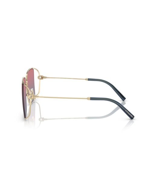 COACH Black Sunglass Cw429