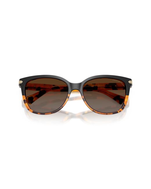 COACH Black Hc8132 Sunglasses