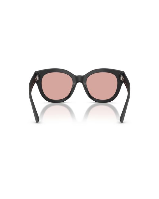 Jimmy Choo Black Sunglass Jc5053