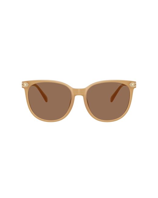 COACH Black Sunglass Cw428