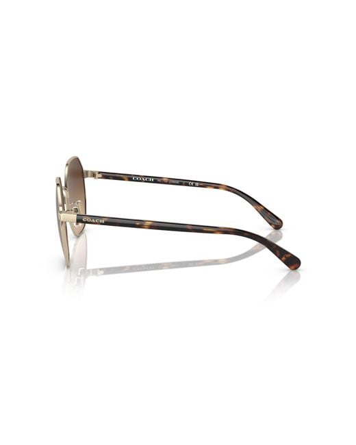 COACH Black Sunglass Ch556