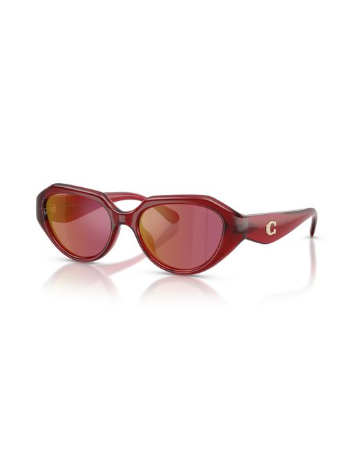COACH Black Sunglass Cby77