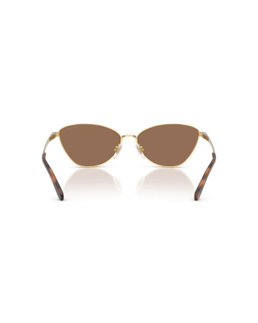 Ralph Lauren Black Sunglass Rl7093