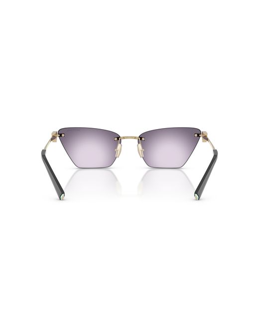 Tiffany & Co Black Sunglass Tf3120