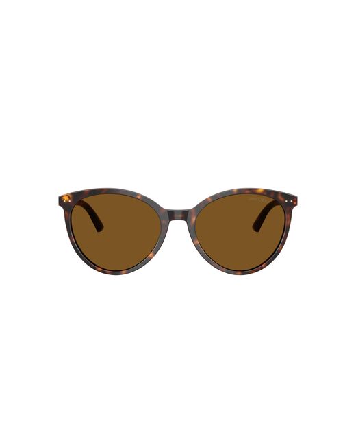 Jimmy Choo Black Sunglass Jc5060