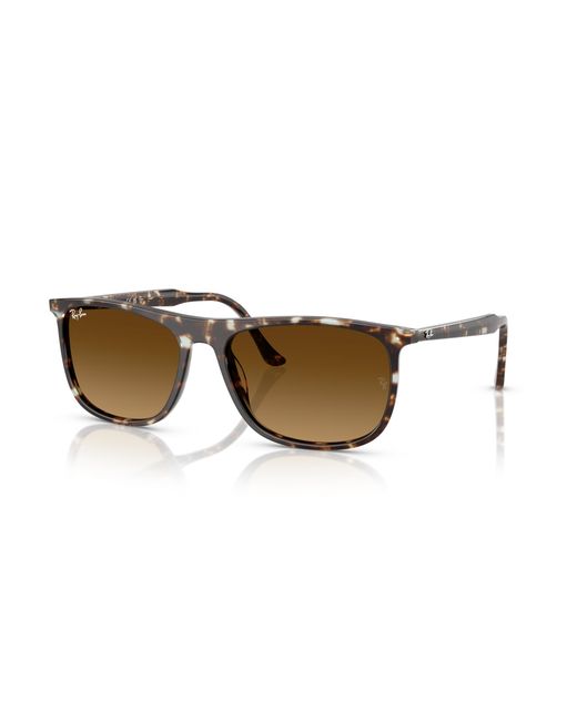 Ray-Ban Black Ray