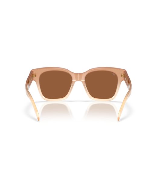 Costa Black Sunglass Nusa