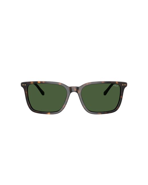Polo Ralph Lauren Green Sunglass Ph4226 for men