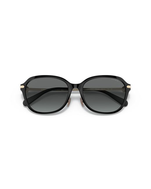 COACH Black Sunglass C6199