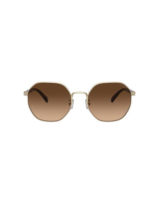 COACH Black Sunglass Ch556