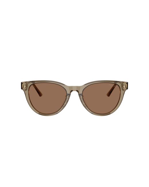 Jimmy Choo Black Sunglass Jc5043d