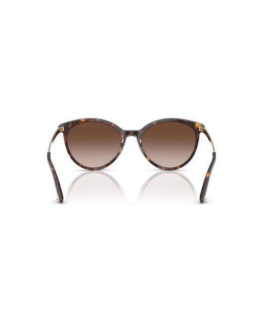 Jimmy Choo Black Sunglass Jc5060