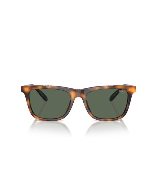 Polo Ralph Lauren Black Sunglass Ph4205u for men