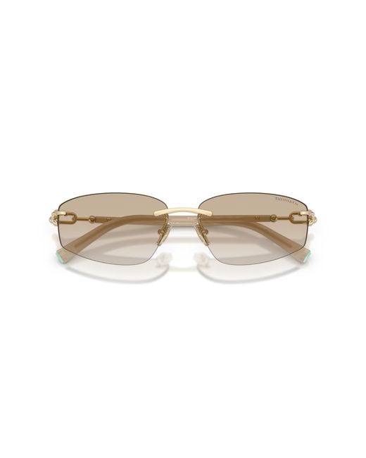 Tiffany & Co Black Sunglass Tf3114