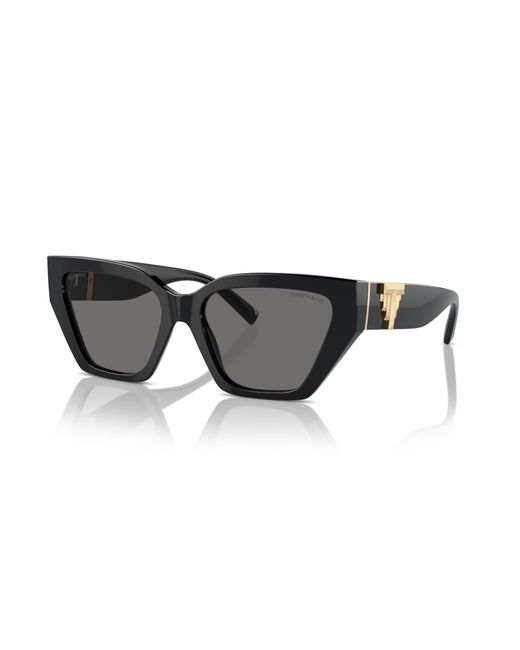 Tiffany & Co Black Sunglasses Tf4218